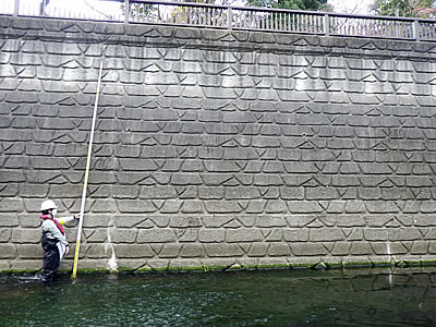 河川護岸定期点検